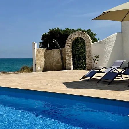 Gecko * Vinaros